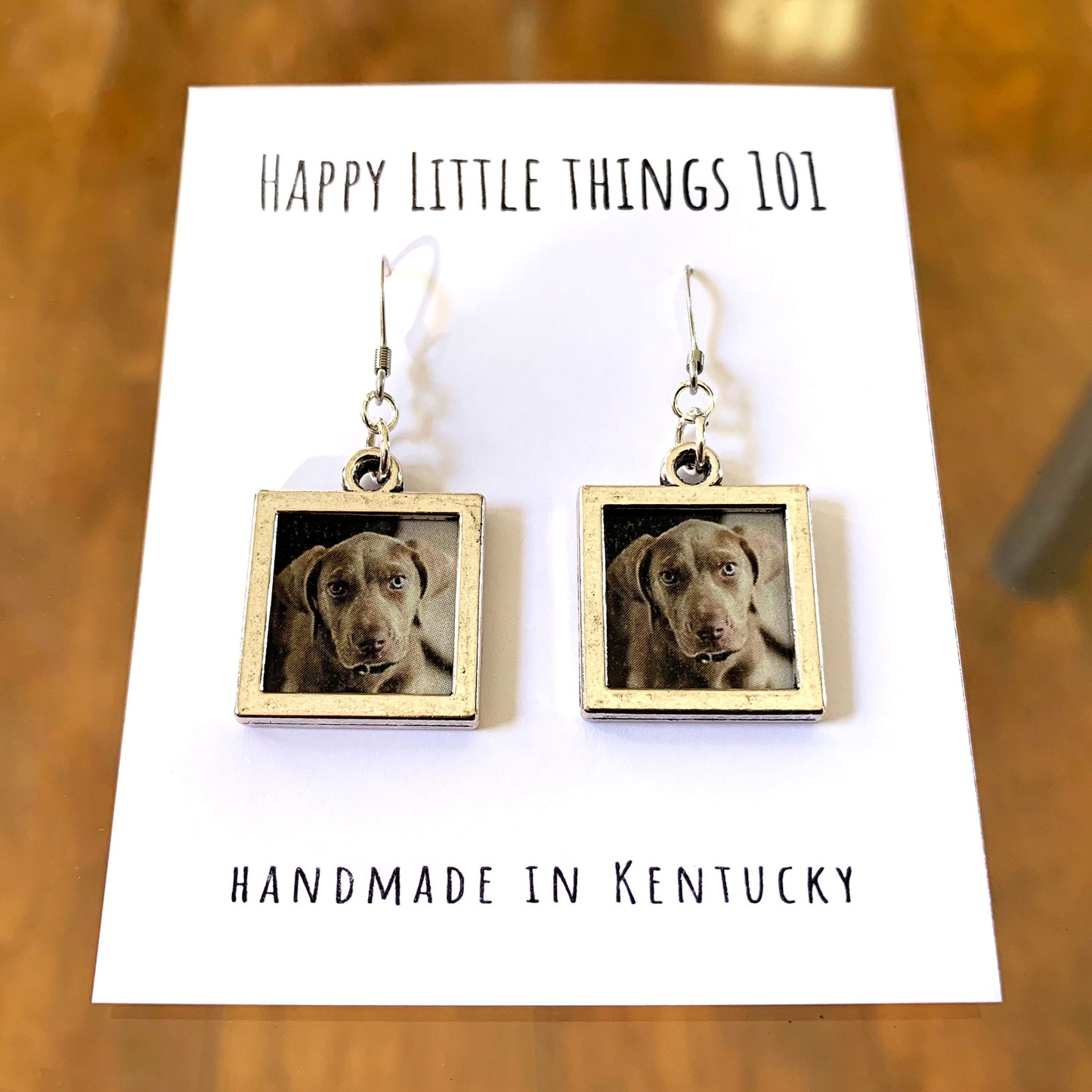 Custom Photo Earrings/Silver Frame with Personalized Photo/Pet Owner's GIft/Family Photo Jewelry/Quality Stainless Fish Hooks/Free Gift Box