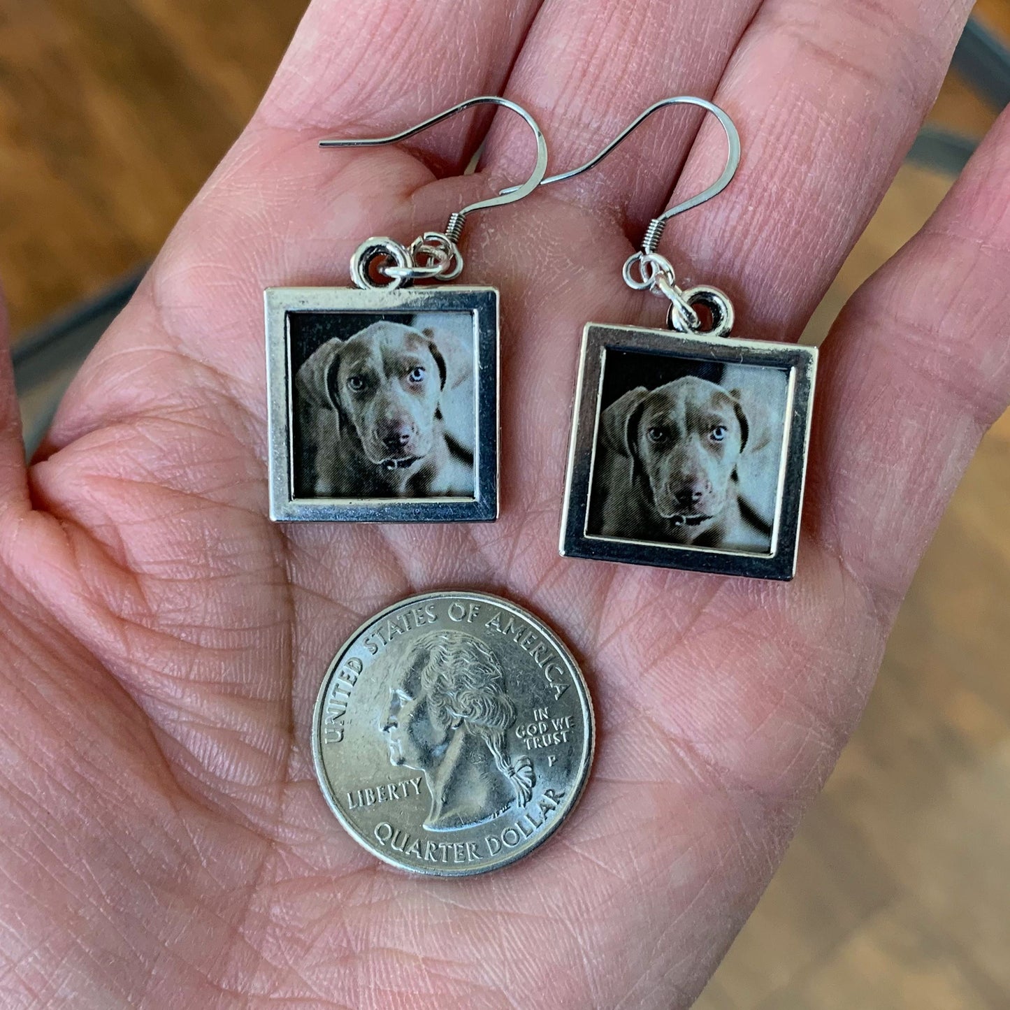 Custom Photo Earrings/Silver Frame with Personalized Photo/Pet Owner's GIft/Family Photo Jewelry/Quality Stainless Fish Hooks/Free Gift Box