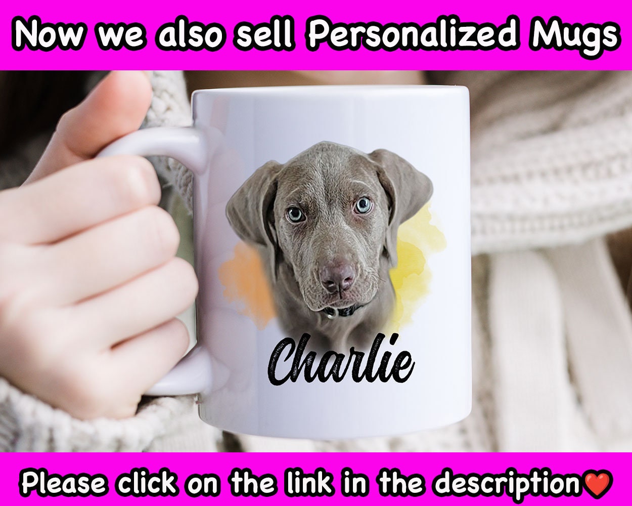 Custom Photo Earrings/Silver Frame with Personalized Photo/Pet Owner's GIft/Family Photo Jewelry/Quality Stainless Fish Hooks/Free Gift Box