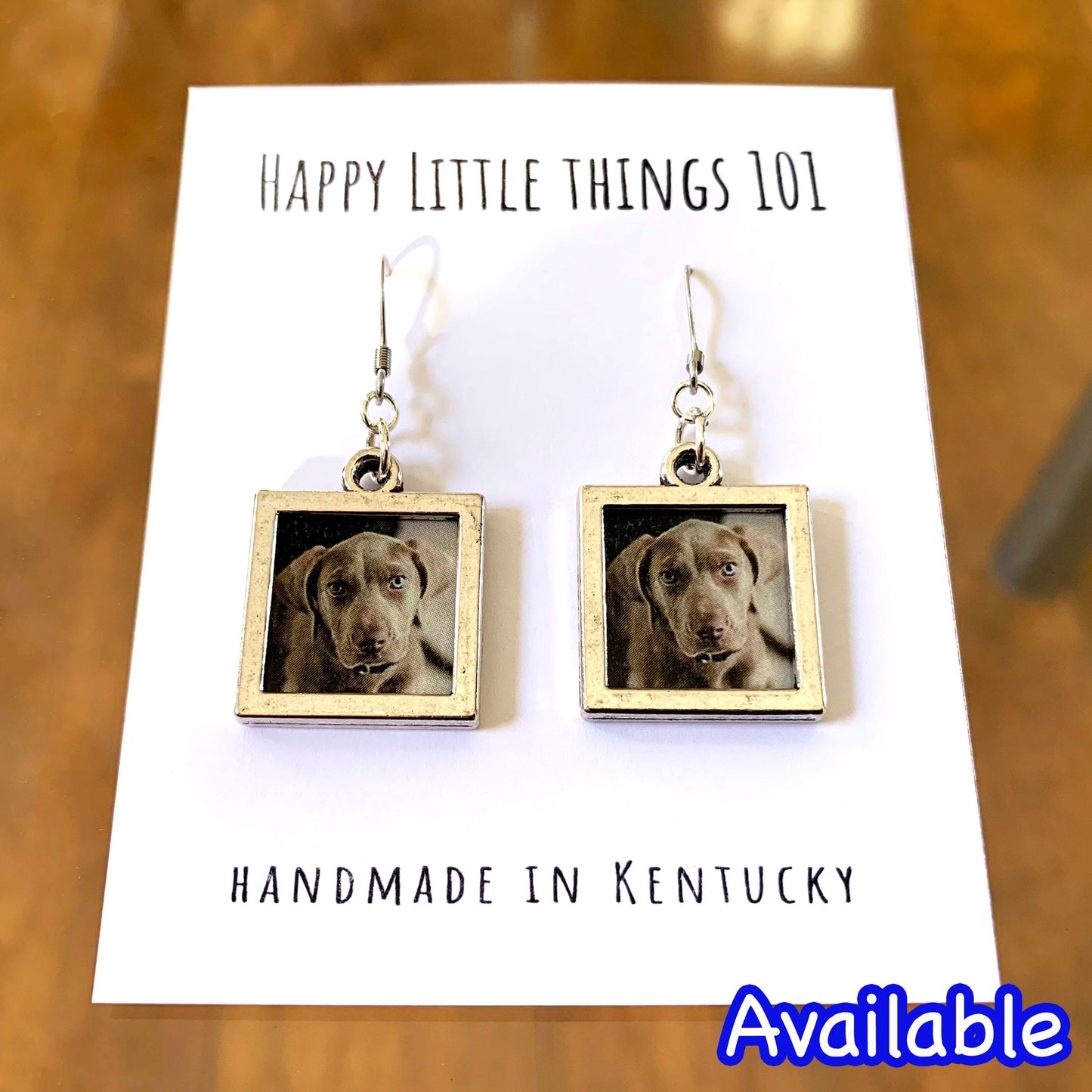 100 Dollar Bill Dangle Earrings, Money Drop Earrings, Fun Gift Earrings, Benjamin Franklin Earrings, Silly Gifts, 18K Gold Plated, Free Gift