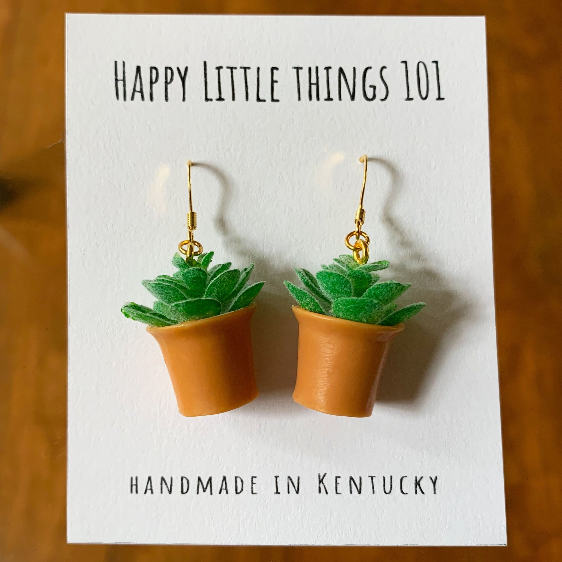 dangle succulent Mini Plant Dangle Earrings, MIni Succulent Drop Earrings, Gifts for Pl – Happy Little Things 101